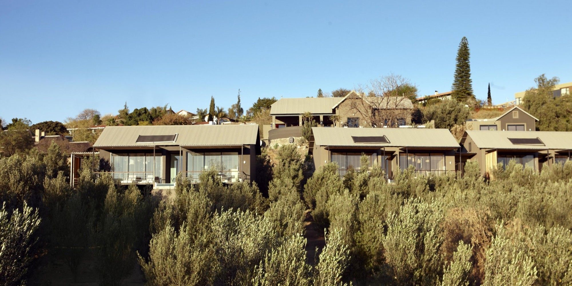 The Olive Exclusive All-Suite Hotel Windhoek Luaran gambar
